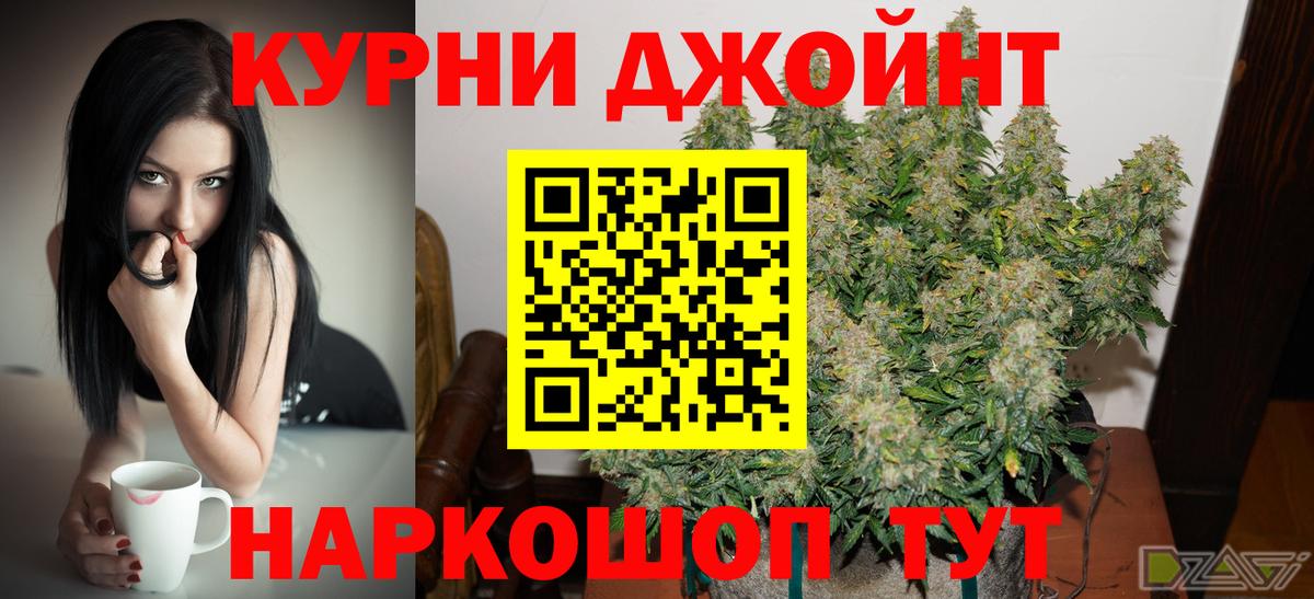 Бошки марихуана семена  Каннабис индика  Конопля MAZAR  Вход с VPN  Рассказово 